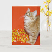 ハロウィン子猫 カード (黄色い花)
