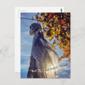 ハロウィン幽霊のよく出るハロースピリット葉書 ポストカード (正面/裏面)