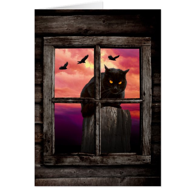 ハロウィン猫 (正面)