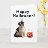 ハロウィン猫 カード (黄色い花)