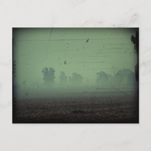 ハロウィン葉書 ポストカード (正面)