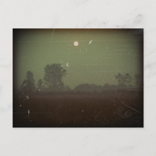 ハロウィン葉書 ポストカード (正面)