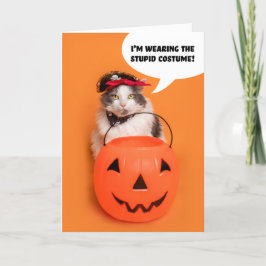 ハロウィン衣装の怒った猫 シーズンカード