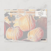 ハロウィン誕生日！ ポストカード (裏面)