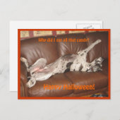 ハロウィン食べキャンディが多すぎる ポストカード (正面/裏面)