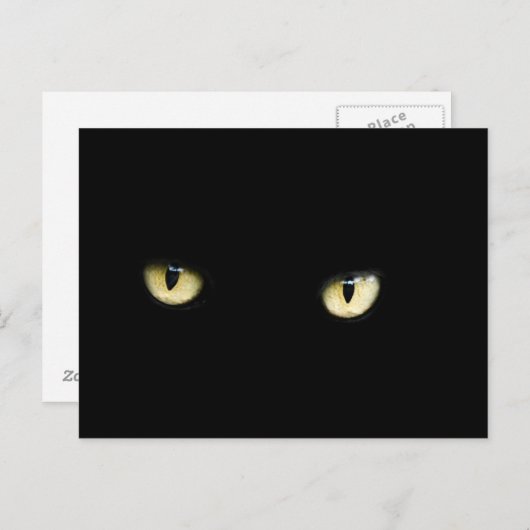 ハロウィン黒猫アイズハガキ ポストカード (正面/裏面)