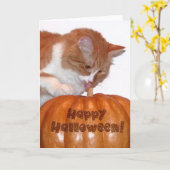 ハロウィン　かわいい猫とカボチャ カード (黄色い花)