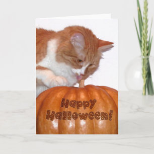 ハロウィン　かわいい猫とカボチャ カード