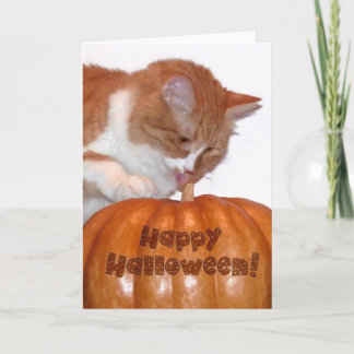 ハロウィン かわいい猫とカボチャ カード