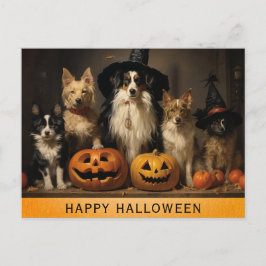 ハロウィン かわいい 犬 魔女 かぼちゃ ポストカード