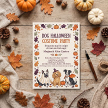 ハロウィン パーティー オレンジ 黒 犬のコスチューム