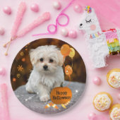 ハロウィン、マルチーズの子犬、 ペーパープレート (パーティー)