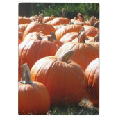 ハロウィン、秋、感謝祭のカボチャの写真 クリップボード (裏面)