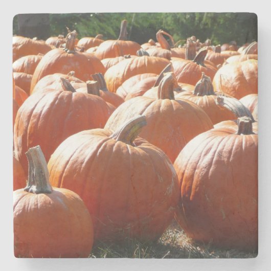 ハロウィン、秋、感謝祭のカボチャの写真 ストーンコースター (正面)