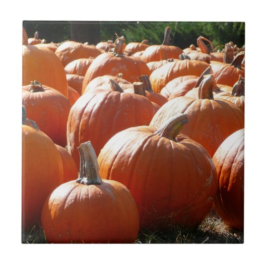 ハロウィン、秋、感謝祭のカボチャの写真 タイル (正面)