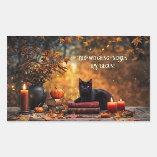 ハロウィン 黒猫 スペルブック 神秘的 長方形シール (正面)