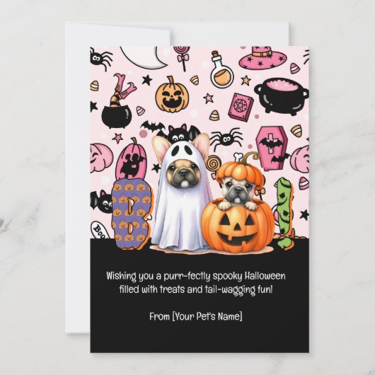 ハロウィン 黒猫 ペット 挨拶 シーズンカード (正面)