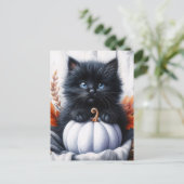 ハロウィン 黒猫 白カボチャ ポストカード (スタンド正面)