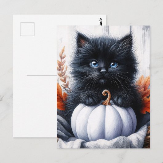 ハロウィン 黒猫 白カボチャ ポストカード (正面/裏面)