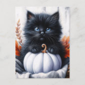 ハロウィン 黒猫 白カボチャ ポストカード (正面)