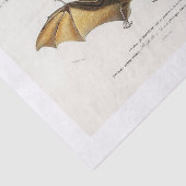 ハロウィーンこうもりの切り離し 薄葉紙 (詳細)