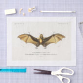 ハロウィーンこうもりの切り離し 薄葉紙 (クラフト)