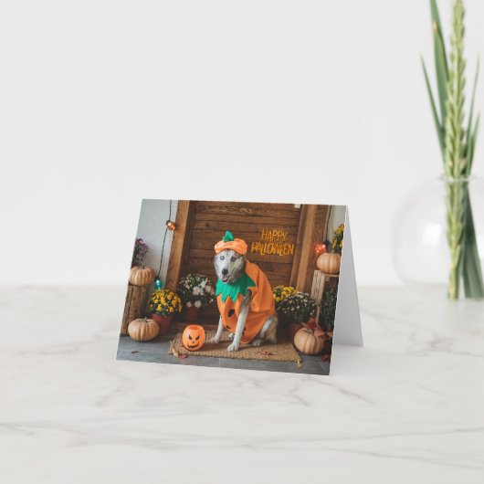 ハロウィーンのおもしろい犬 カード (正面)