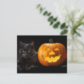 ハロウィーンのカボチャと黒猫 ポストカード (スタンド正面)