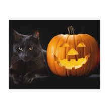 ハロウィーンのカボチャと黒猫