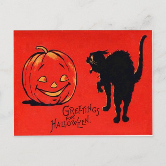 ハロウィーンのカボチャのちょうちんかぼちゃ黒猫 ポストカード (正面)