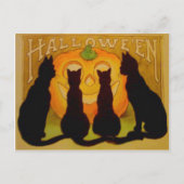 ハロウィーンのカボチャのちょうちんかぼちゃ黒猫 ポストカード (正面)