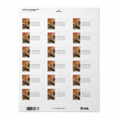 ハロウィーンのカボチャのちょうちん黒猫の住所 シール (フルシート)