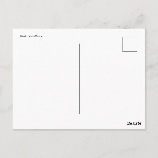 ハロウィーンのカボチャのちょうちん ポストカード (裏面)