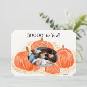 ハロウィーンのカボチャ独身のの写真 カード (スタンド正面)