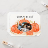 ハロウィーンのカボチャ独身のの写真 カード (正面/裏面インサイチュ)