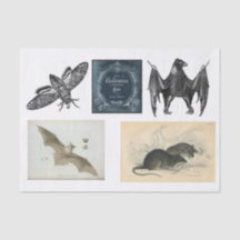 ハロウィーンのコレクションの分離