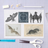 ハロウィーンのコレクションの分離 薄葉紙 (クラフト)