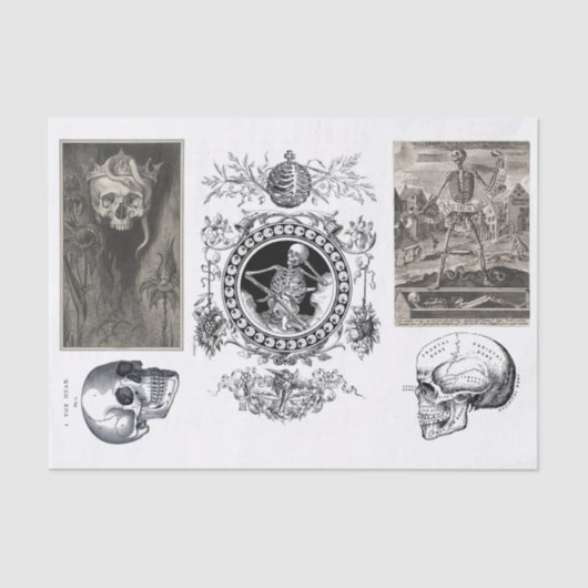 ハロウィーンのコレクションの分離 薄葉紙 (正面)