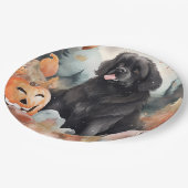 ハロウィーンのニューファンドランドとカボチャ怖い ペーパープレート (アングル)