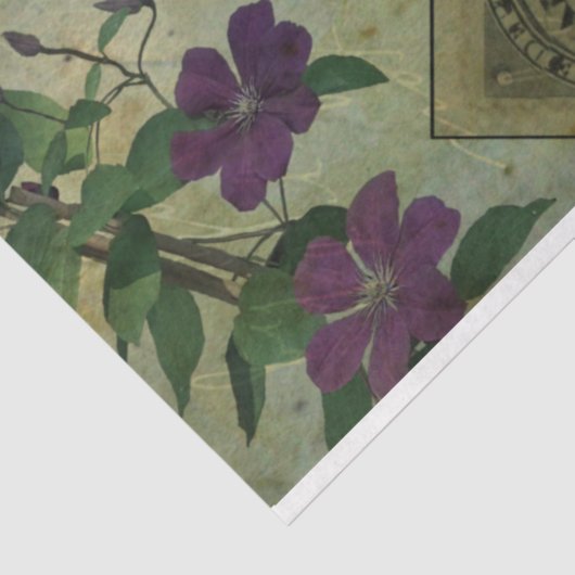 ハロウィーンの不気味な解剖学とピンクの花Ephemera 薄葉紙 (詳細)