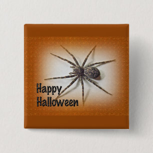 ハロウィーンの挨拶 – Dolomedes tenebrosus Spider 缶バッジ