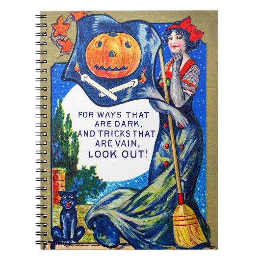 ハロウィーンの時間を見るフォールン ノートブック (正面)