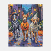 ハロウィーンの衣装のカロライナのトリックまたは治療 フリースブランケット (正面)