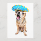 ハロウィーンの衣装を着たかわいいチワワ ポストカード (正面)