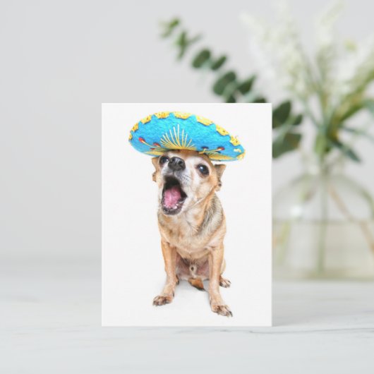 ハロウィーンの衣装を着たかわいいチワワ ポストカード (スタンド正面)