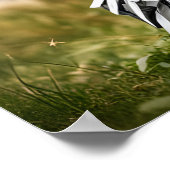 ハロウィーンの衣装を着た犬 ポスター (角)