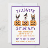 ハロウィーンの衣装パーティーフランスのブルドッグズカボチャ 招待状 (正面)
