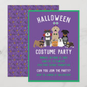 ハロウィーンの衣装パーティー犬ブラックキャット 招待状 (正面/裏面)