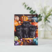 ハロウィーンの黒猫とカボチャとキャンディ ポストカード (スタンド正面)