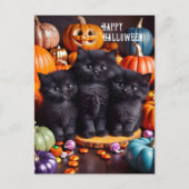 ハロウィーンの黒猫とカボチャとキャンディ ポストカード (正面)
